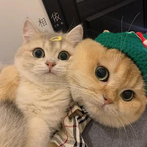 大乳女被狂揉gif图片
